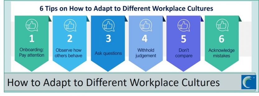 6 Tips on How to Adapt to Different Workplace Cultures