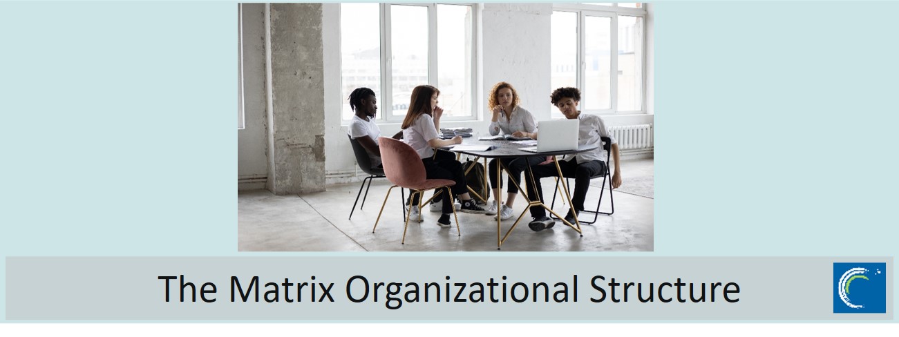 Matrix Organizational Structure – Yes or No?